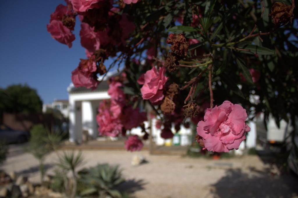 Bed and Breakfast Puravida Divehouse Sagres Zewnętrze zdjęcie